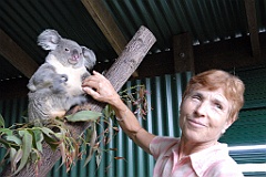 0827 Wildlife Habitat Port Douglas
